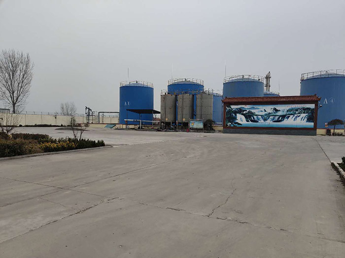 公司展示